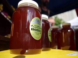 NYC Farmers Market Brims With Early Fall Produce Stock Footage