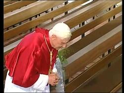 More of pope arriving at his birthplace, meeting pilgrims News Clip