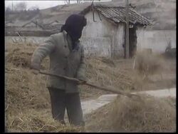 NORTH KOREA: POPULATION FACE HARSH WINTER AFTER POOR HARVEST News Clip