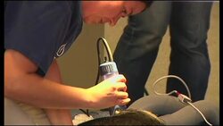 Sea lion goes into surgery after being shot in face Instructional Video