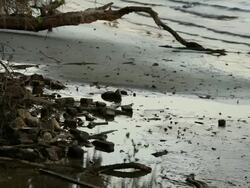 Polluted Shoreline Stock Footage