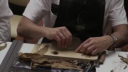 CLEAN : A master class on cigar rolling in Cuba's Havana News Clip