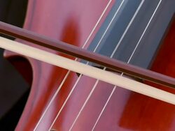 Playing Cello Stock Footage