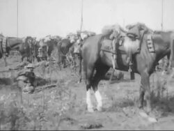 WWI - Battle of Arras Stock Footage