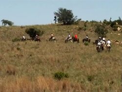 Horse riding Stock Footage