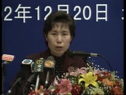 China given its first assessment of WTO membership News Clip