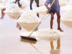 workers in salt farm Stock Footage