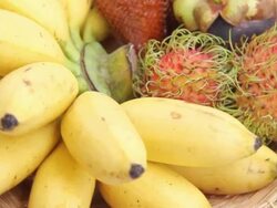 Tropical fruits. Stock Footage