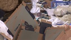 CLEAN : Cambodia shoe factory collapse kills News Clip