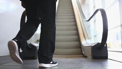 Businesswoman Working In The room Stock Footage