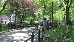 CLEAN : New York raises minimum age to buy cigarettes to 21 News Clip