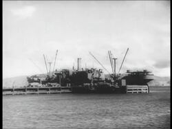 United News News Clip