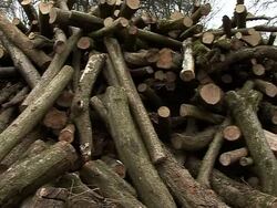 VOICED: Biochar: British tests refine carbon-capture solution News Clip