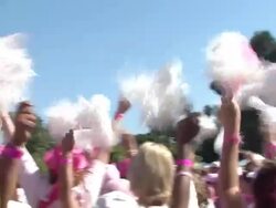 Seventh Annual Los Angeles Avon Walk for Breast Cancer Stock Footage