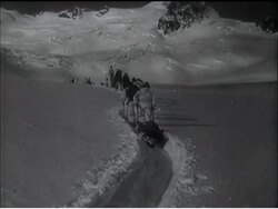 ALPINE AIR RESCUE News Clip