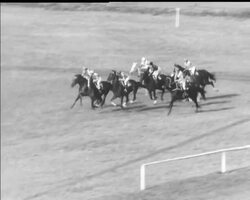 PARDUBICE STEEPLECHASE News Clip