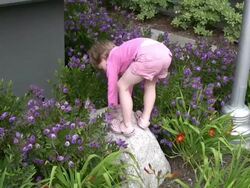 (HD1080i) Human Development: Coordination, Learning to Balance Stock Footage