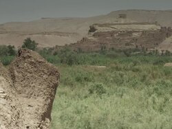 Lush vegetation lays in front of a stark hillside, adorned with rustic buildings. Stock Footage