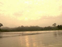 Sunrise Over the Amazon River Stock Footage