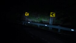 Night Drive Through the Forest on Winding Road Stock Footage