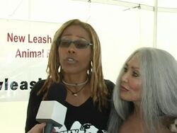 4th Annual Nuts For Mutts Event Stock Footage