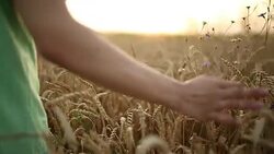 Touch of nature Stock Footage