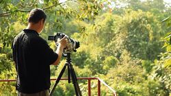Birdwatcher sending email Stock Footage