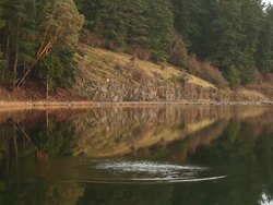 MS Shot of rock dropping into lake with reflection / Orcas Island, Washington, United States Stock Footage