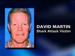 There's been no sign of that shark since Friday's deadly attack of a swimmer off a San Diego's Solana Beach. The beaches closed after the killing of retired veterinarian David Martin are expected to be reopened to surfers and swimmers today. News Clip