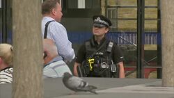 Armed Police Outside Kings Cross Station News Clip