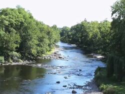 WS T/L View of river changing during summer, autumn and winter / Farmington, Connecticut, USA Stock Footage