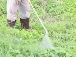 Farmer kills weed spraying pesticides in tropical field Stock Footage