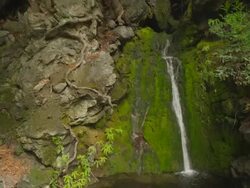 MS PAN Water falls down rocks and moss into water hole / Big Sur, California, United States Stock Footage