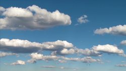 Abiotic Instructional Video