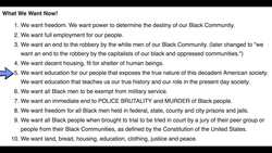 Who Were the Black Panthers? US History Review Instructional Video