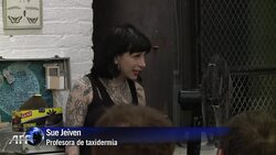 VOICED: Arte y ratones muertos News Clip