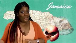 Is Breakfast the Most Important Meal? Instructional Video