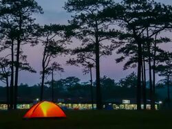 Tent Stock Footage