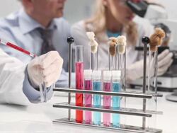 Group of scientists in a laboratory Stock Footage