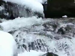 Icy Forest Stream Closeup PAN & TILT Stock Footage
