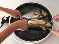 HD: Fried Fish Stock Footage