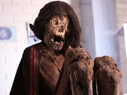 CU Shot of mummy at Chauchilla cemetery / South Of Peru, Nazca, Peru Stock Footage