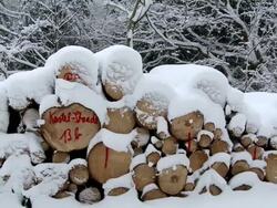MS PAN Wood log cover with snow layers in winter / Saarburg, Rhineland-Palatinate, Germany Stock Footage