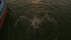 A young man repeatedly dunks himself in the Ganges River. Stock Footage