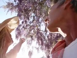 Couple pause under wisteria blossoms, with admiration Stock Footage