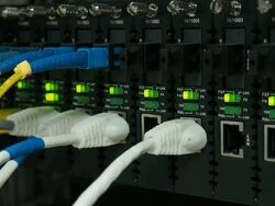 Unplugging in Ethernet Cable - Stock Video Stock Footage