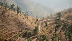 Beautiful Valley in nature Stock Footage