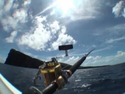 Big game fishing in rough waters; natural motion Stock Footage