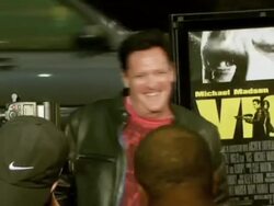 The WireImage Entertainment Report and News Capsules: 5/8/08 Stock Footage