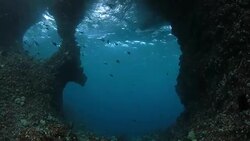 Cave of underwater mountain in Indonesia Stock Footage